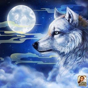 Meet your Posher, Charles